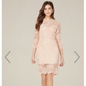Bebe Liv Lace Dress